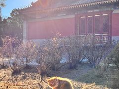 -大钟寺古钟博物馆