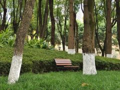 -重庆市江北嘴中央商务区中央公园