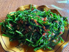 番茄炒蕨菜-傣泐金湾餐厅