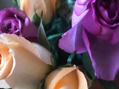 -昆明国际花卉拍卖交易中心