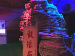 -贝壳梦幻世界