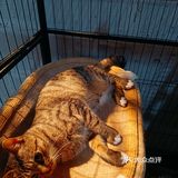 海洋大学附近一家宝藏餐厅被我找到了
