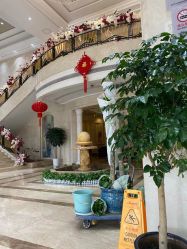 -禾丽康美医疗美容医院