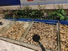 -火锅岛潮牌自助餐厅(天津天佑城店)