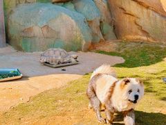 -南昌动物园