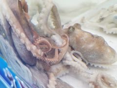 -阔澜蒸汽海鲜自助