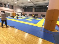-武术世家少儿培训中心(首都体育学院店)