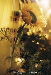 -无锡君来洲际酒店·宴会厅