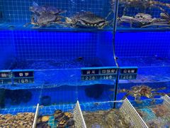 -启东小海鲜(庄先湾路1号店)