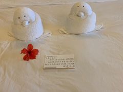 -三亚亚龙湾雅高铂尔曼别墅度假酒店