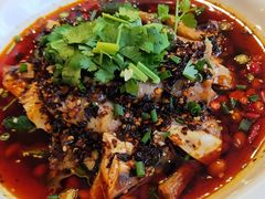 椒麻鸡-新天一烤·贵州菜·烧烤(乌当店)
