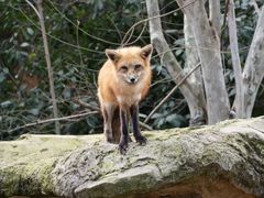 -杭州野生动物世界