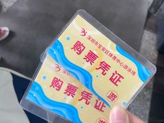 -宝安体育馆游泳馆