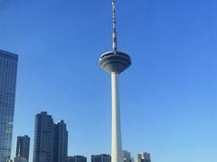 -辽宁电视塔