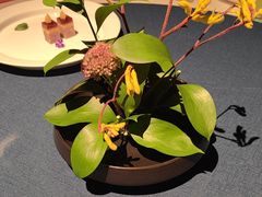 -三利音·玖弄小鲜(浦东嘉里城店)