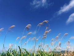 -东极岛景区