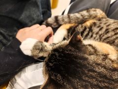 -平行世界·猫咖(首经贸店)