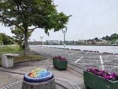 -币舞桥