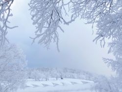 -大秃顶子山(雪谷店)