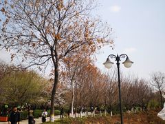 -西安青龙寺遗址景区