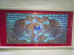 -上海昆虫博物馆