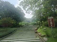 -火炉山森林公园