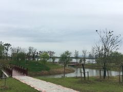 -南湖湿地公园