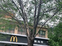 -麦当劳(欢乐谷店)