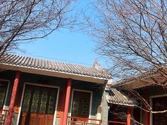 -海珠湖公园