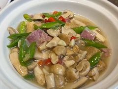 -鲜菌江湖正宗野生菌火锅