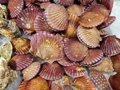 -火锅岛潮牌自助餐厅(天津天佑城店)