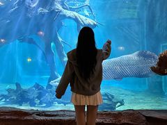 -华夏文旅海洋公园