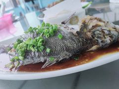 -七鲜渔港美食餐厅(巽寮湾海景店)