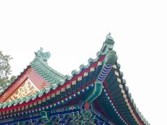 -颐和园