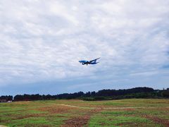 -空港花田景区