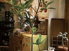 -知物癖(牛王庙店)