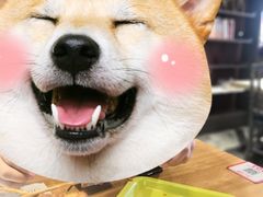 -天山传奇新疆菜(SKLP店)