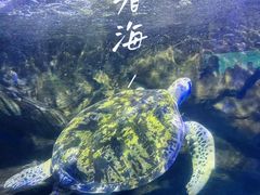 -太平洋海底世界