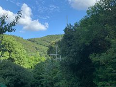 -树山生态村