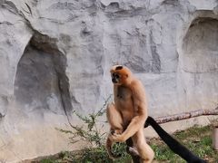 -杭州野生动物世界