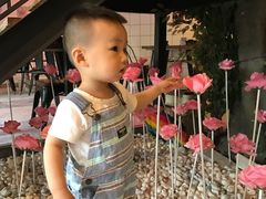 -靓蛙馆