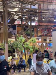 -卡通尼·Safari非洲探索乐园·生日会(金桥国际商业广场店)