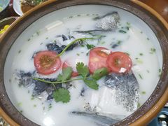 -全乐鱼馆·淳牌有机鱼直营店