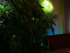 -山色西餐·柴火烤披萨