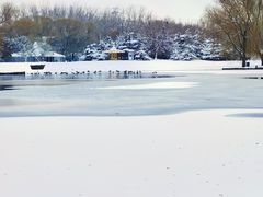 -银树楼(紫玉山庄东区店)