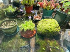 -国家植物园南园