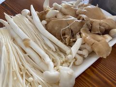 -15年老字号鑫鑫猪肚鸡·椰子鸡海南火锅(兴隆华侨农场店)