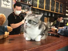 -咖法森林·咖啡  酒吧(天河店)