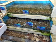 水产区-旺富东海大酒楼(海鲜街店)
