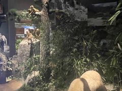 -长江文明馆